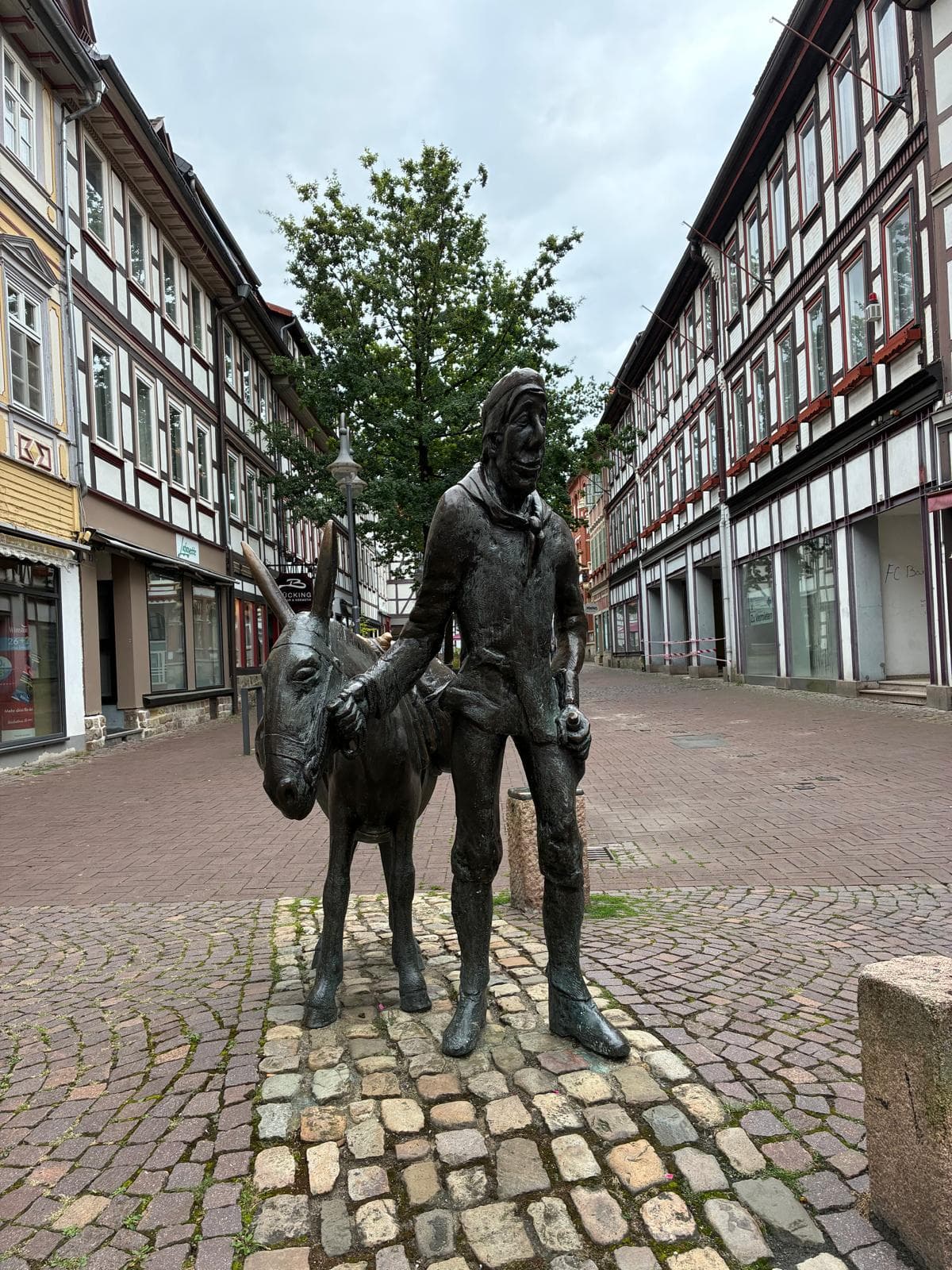 donkey driver
